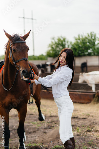 A young pretty girl rider poses near a thoroughbred stallion on a ranch. Horse riding, horse racing © Andrii