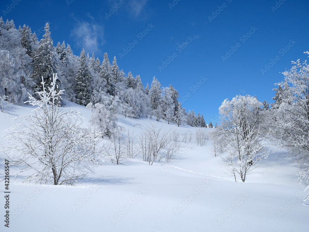 Joli paysage enneigé en pleine montagne - Vercors