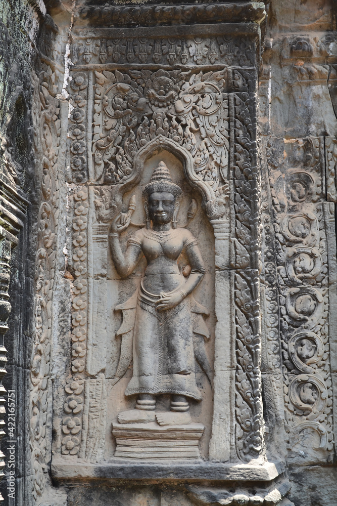 Ta Prohm temple, near to Siem Reap, Cambodia. Highly detailed bas-reliefs, perfectly preserved. Ancient Hindu temple in Angkor complex.