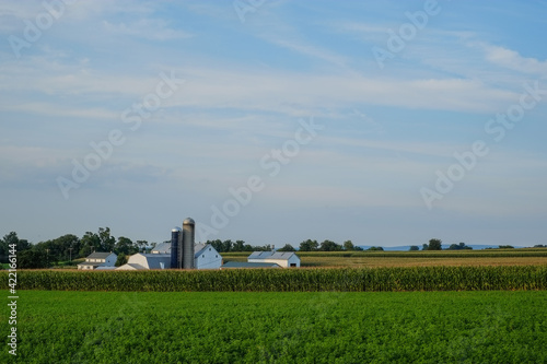 Amish Farmstead and corn fields in the amish country of Pennsylvania © Jorge Moro