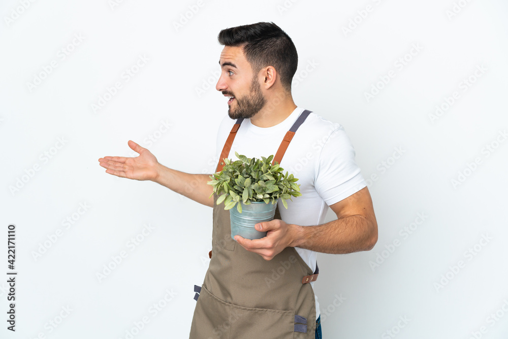 Gardener man holding a plant isolated on white background with surprise expression while looking side Gardener man holding a plant isolated on white background with surprise expression while looking side
