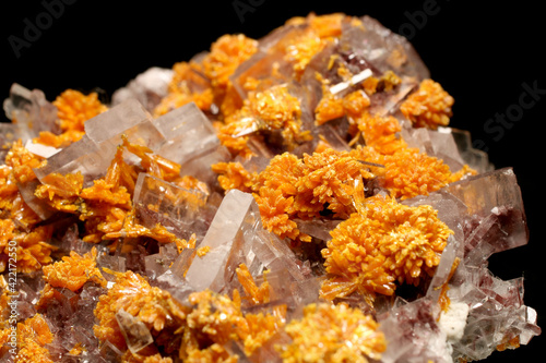 Museum mineral specimen, beautiful combo piece featuring tabular clear Baryte crystals and tiny rosettes of Orpiment from Quiruvilca Mine, Peru photo