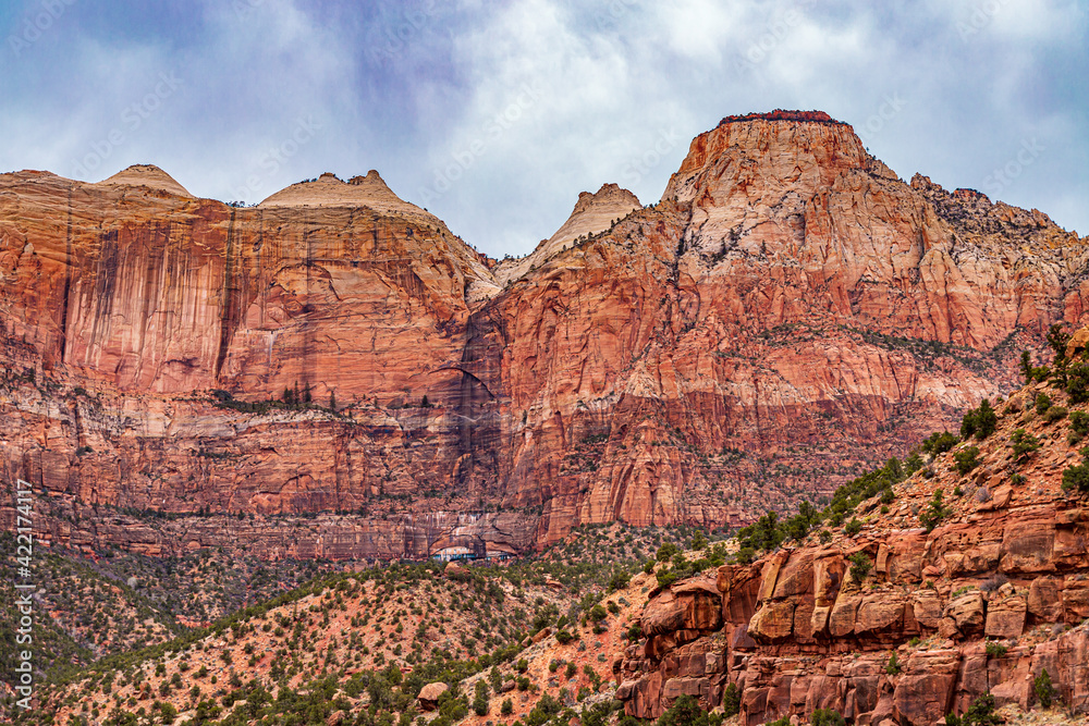 red rocks in Zion National Park
