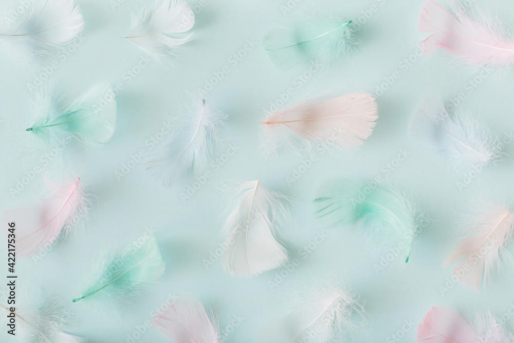Colorful feathers on pastel blue background. Flat lay, top view