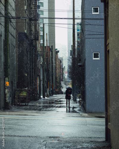 Wallpaper Mural Dog Walking in the snow Torontodigital.ca