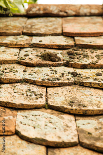 vintage roof tile with moss on top