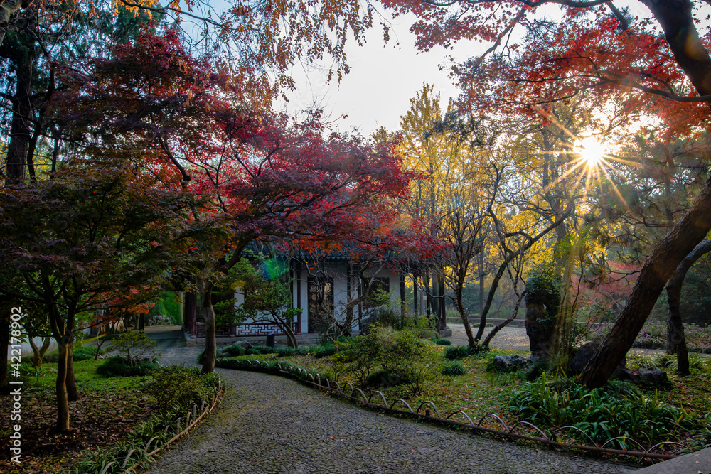 Naklejka premium autumn in the park