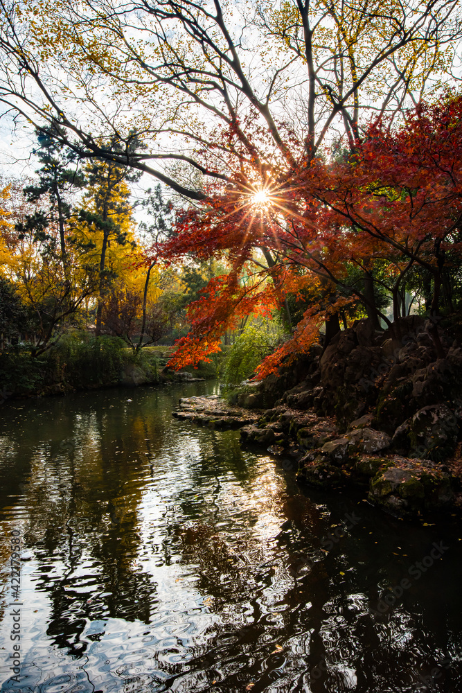 autumn in the park