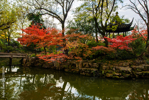 autumn in the park