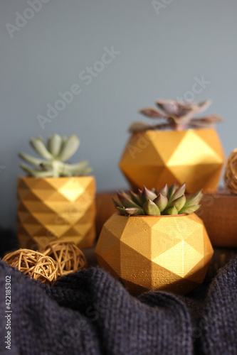 Yellow geometric objects. Group flower pots.