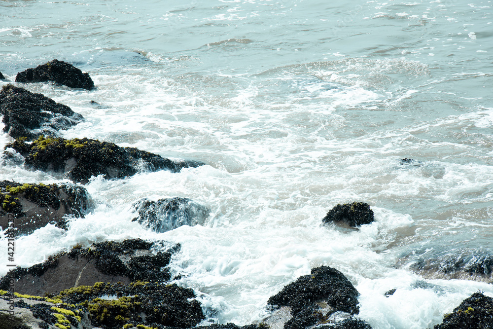 Fototapeta premium waves I