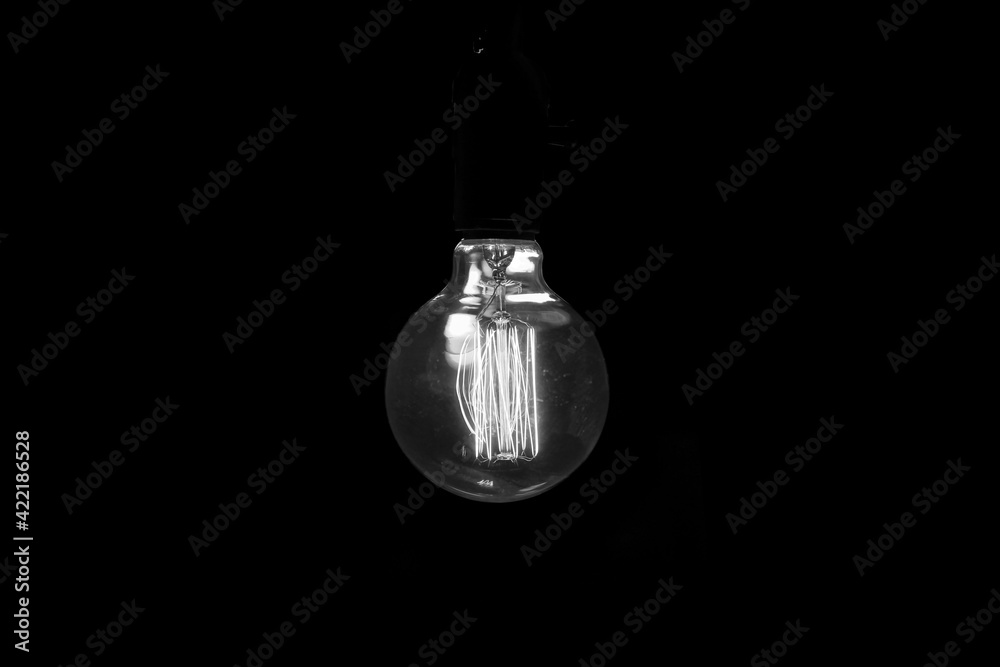 Isolated object dark background. One bulb. Black and white image.