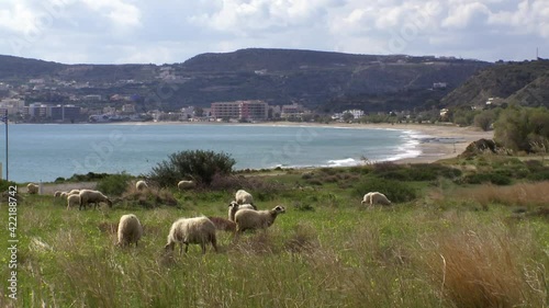 Karpathos Dodecanese Greece field with heaps in Pigadia  photo