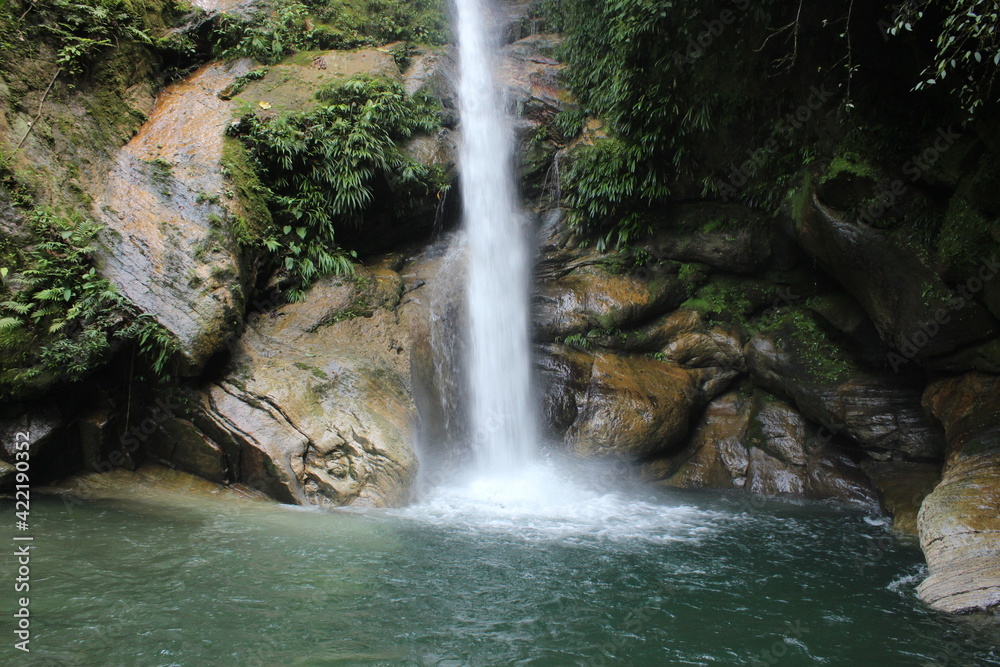 Naklejka premium waterfall in the forest