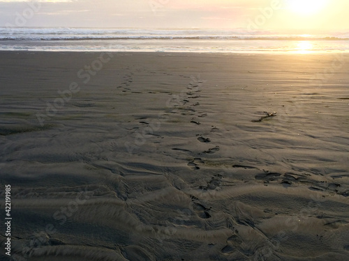 Wallpaper Mural Footsteps in the sand Torontodigital.ca