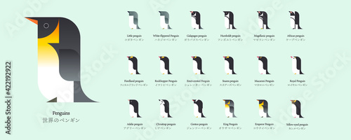 世界のペンギンの種類のベクターイラストアイコン