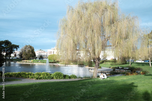 Two people sitting under willow tree at park next to lake