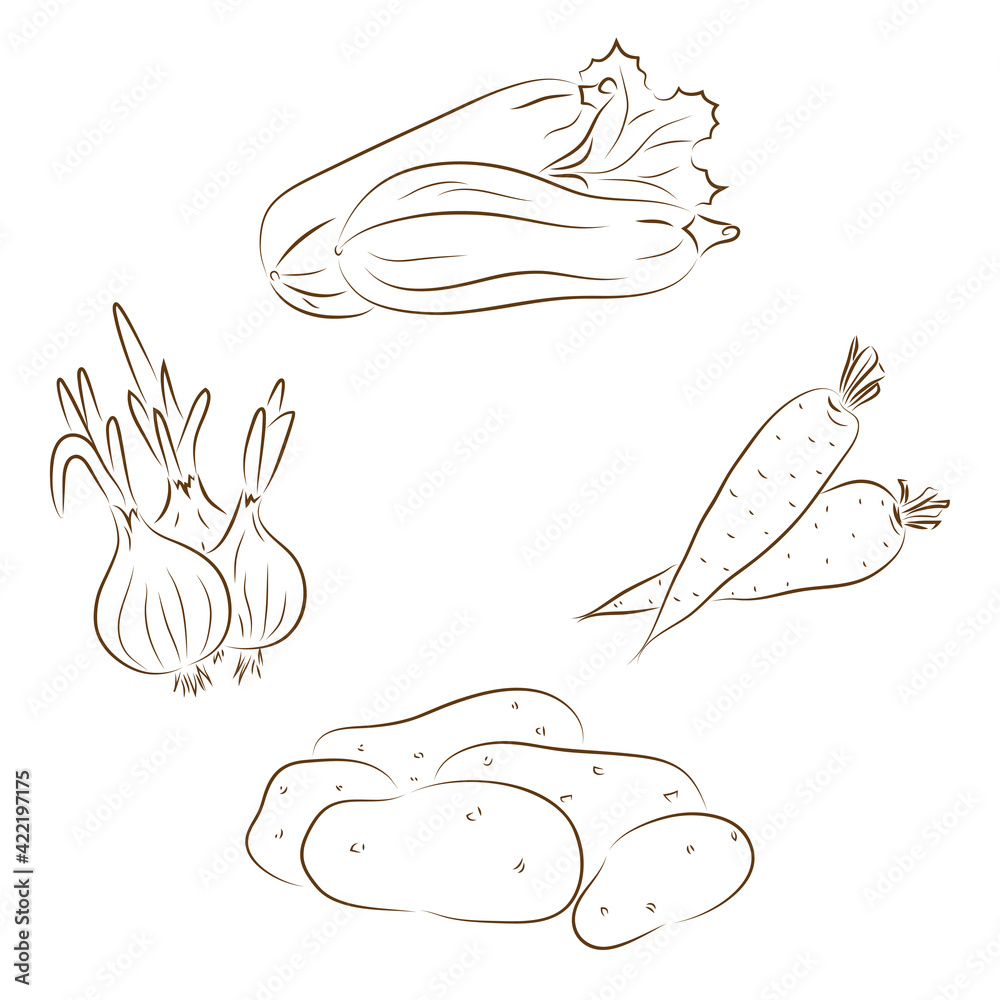 Line art Vegetables. Vector set of vegetables: zucchini, onions, carrots, potatoes
