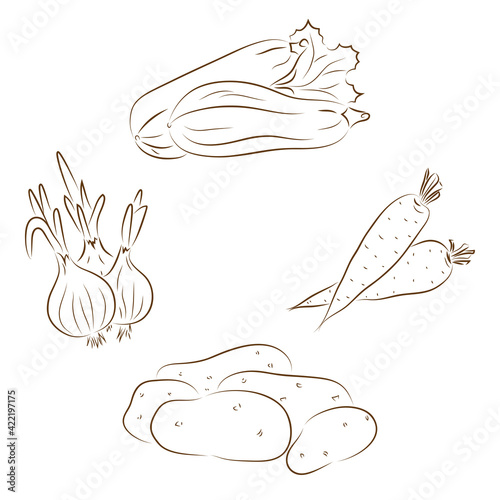 Line art Vegetables. Vector set of vegetables: zucchini, onions, carrots, potatoes
