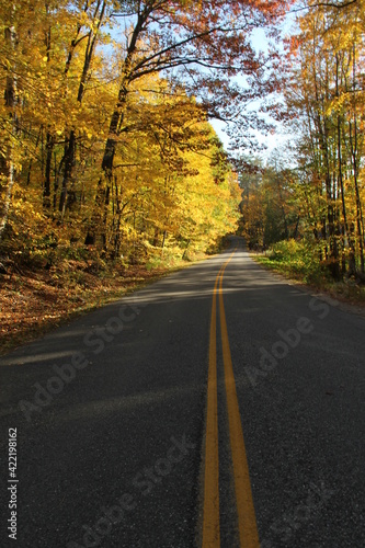 Colorful Autumn Road through the Forest