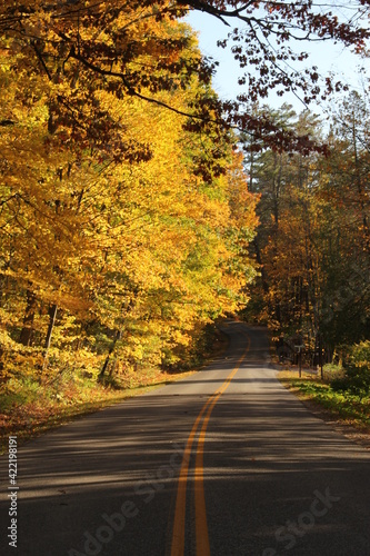 Colorful Autumn Road through the Forest © Marcy