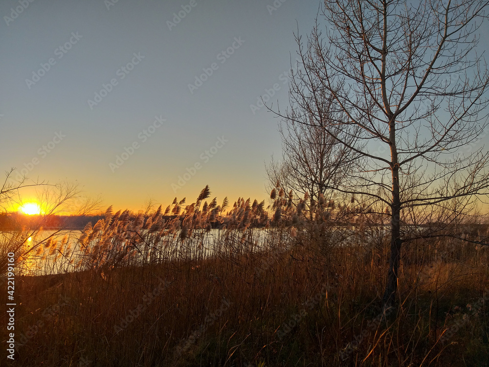 View of the autumnal bank of the Irtysh River in the Omsk Region.