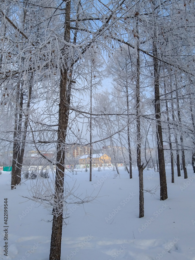 Fototapeta premium View of the winter street of the Omsk city.