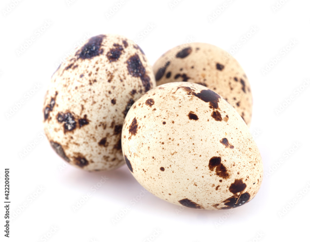 Quail egg Quail egg