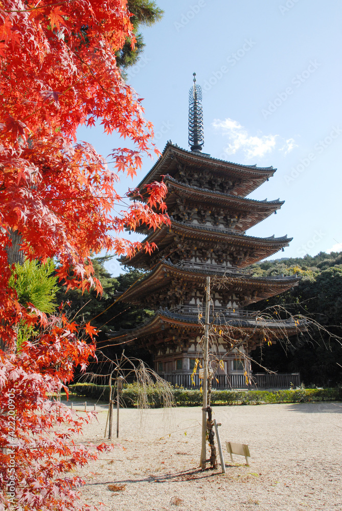 Obraz premium 秋の醍醐寺 五重塔 京都市伏見区醍醐