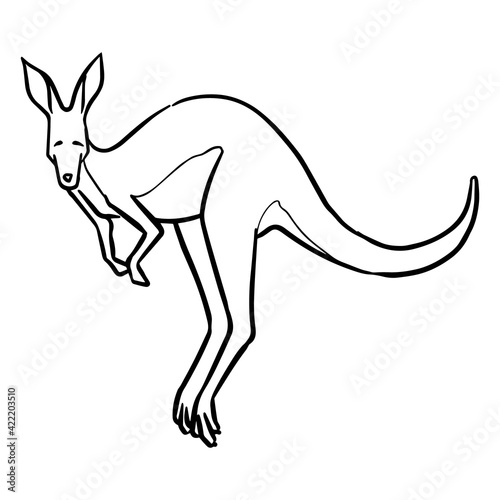 Hand drawn jumping kangaroo.