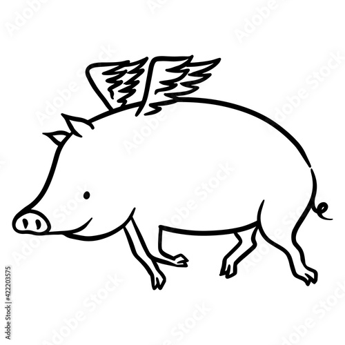 hand drawn flying pig.