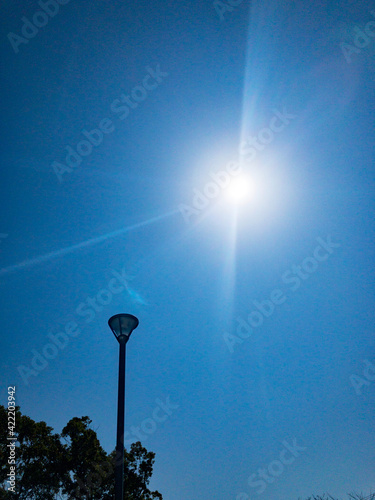 street lamp in the park