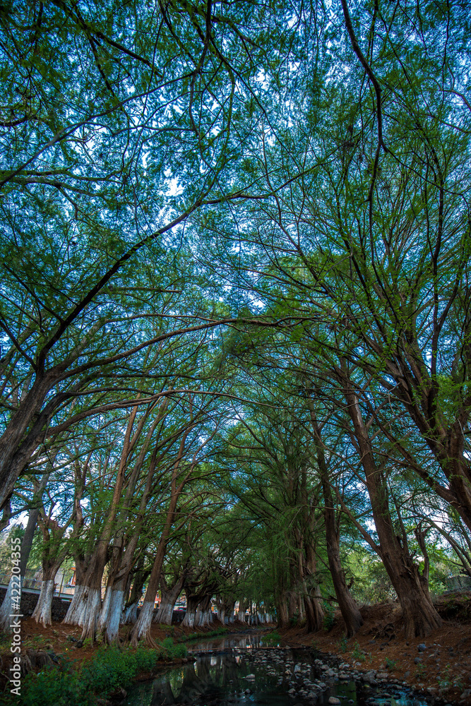 Typical mountain lake landscape, Italy, mexico, photographer taken some pictures, BW 