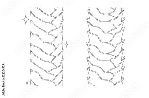 Hair cross section 17_2 No commentary