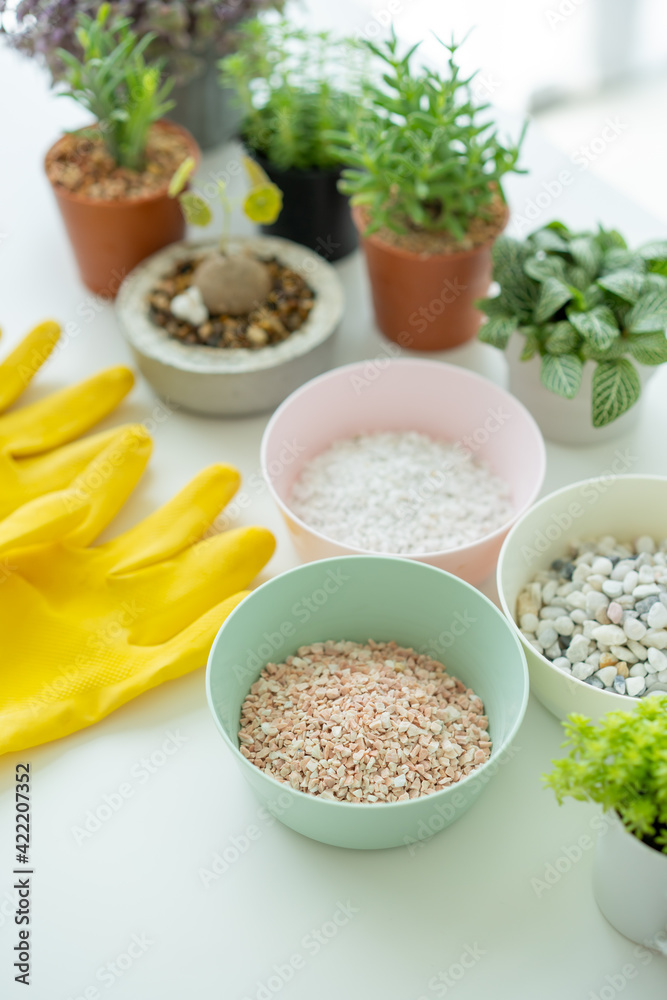 Houseplant and gardening equipments. Houseplant and gardening equipments.