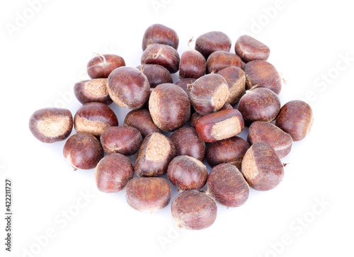 Wallpaper Mural Chinese chestnut Torontodigital.ca