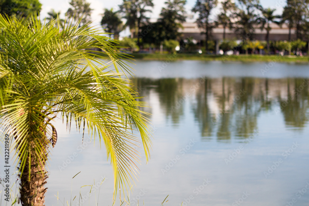 Obraz premium Lagoa Grande, Patos de Minas