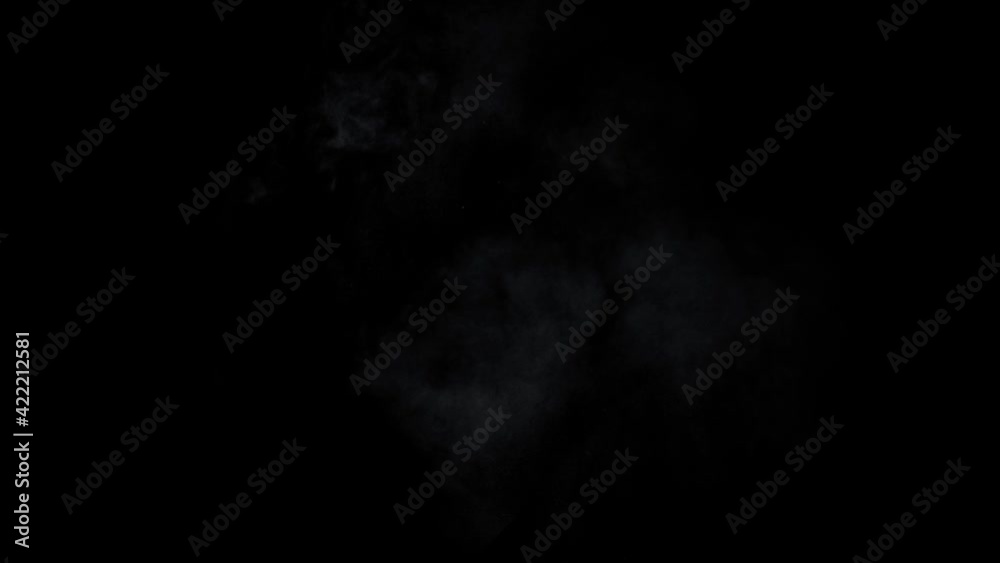 Abstract white smoke in slow motion. Smoke, Cloud of cold fog in light spot background. Light, white, fog, cloud, black background, 4k, ice smoke cloud. Floating fog.
Abstract white smoke in slow motion. Smoke, Cloud of cold fog in light spot background. Light, white, fog, cloud, black background, 4k, ice smoke cloud. Floating fog.