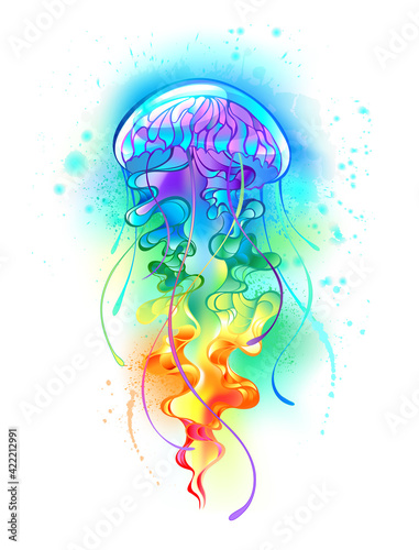 Large rainbow jellyfish