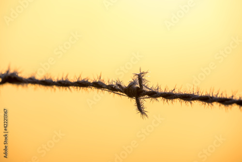 Barbed wire with morning ice