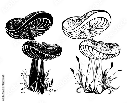 Two silhouette mushrooms photo