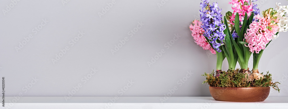 Bouquet of hyacinths in bowl with moss on mantelpiece. Spring and Easter natural interior decor, copy space - obrazy, fototapety, plakaty 