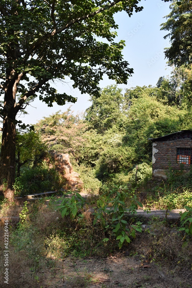 The old house in the mountain forest in Uttarakhand India The old house in the mountain forest in Uttarakhand India