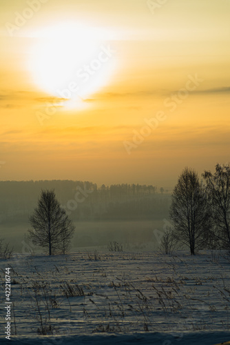 Winter  misty dawn in a field among frozen trees