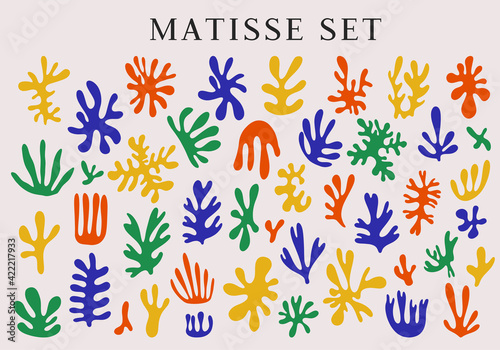 Trendy contemporary abstract matisse geometric algae composition