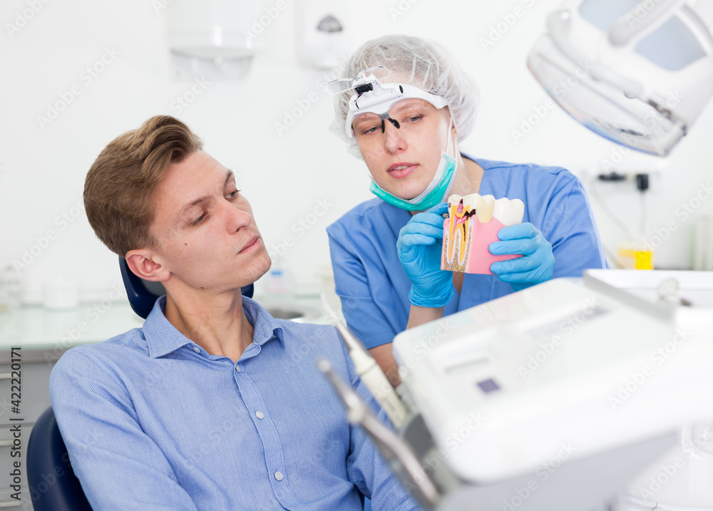 Obraz premium Dentist in uniform with maket of jaw is telling about healthcare in dental clinic. High quality photo