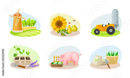 Farming Composition with Agricultural Crops and Farming Inventory Vector Set