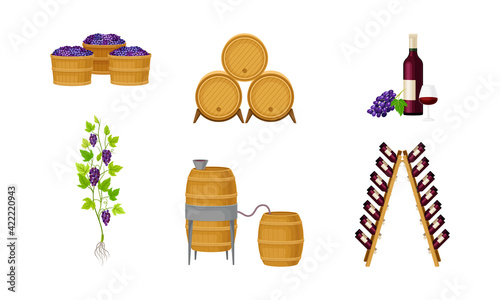 Grape Wine Glass Bottles in Wooden Wine Rack and Barrels as Winemaking Industry Vector Set