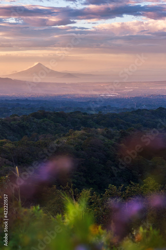 Quadro su tela Beautiful view of the momotombo volcano on lake Managua in Nicaragua at sunset with purple flowers out of focus in the foreground