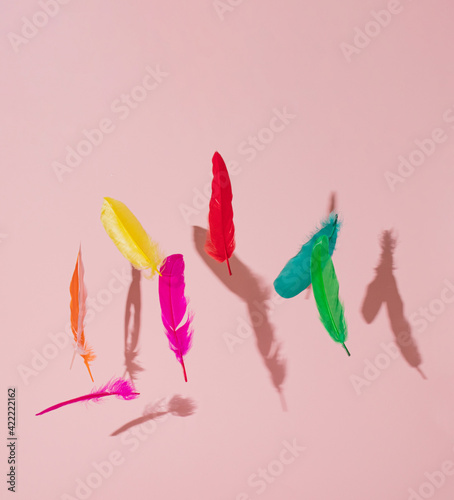 red, yellow, pimk, orange, green and blue feathers flying in the air on the pink pastel background. summer abstract art. summer creative idea © Jelena